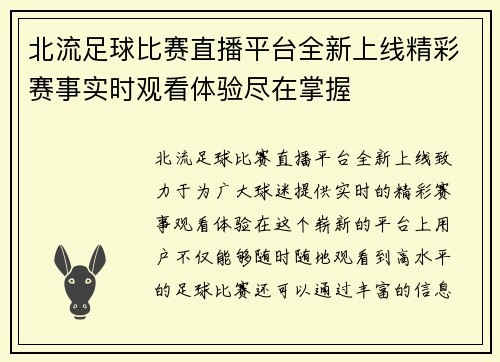 北流足球比赛直播平台全新上线精彩赛事实时观看体验尽在掌握