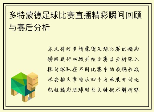 多特蒙德足球比赛直播精彩瞬间回顾与赛后分析